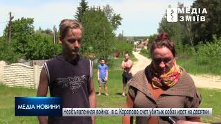 Необъявленная война: в с. Коропово Змиевского района счет убитых собак идет на десятки Необъявленная война: в с. Коропово Змиевского района счет убитых собак идет на десятки