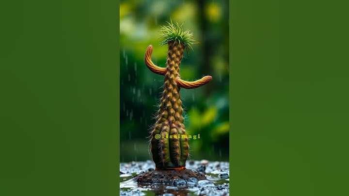 REAL OR ILLUSION? HUMAN-SHAPED CACTUS FOUND!
