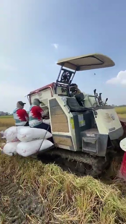 MAXXI || #combineharvester #maxxibimo102standar #farming #automobile #maxxibimoterbaru #maxxibimo