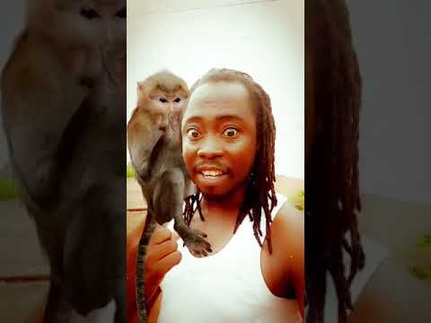 KANTÉ - TRÈS FÂCHÉ (Vidéo 2020)