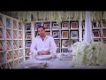 Olivier Dolz Wedding Agency - Grace Ormonde Feature