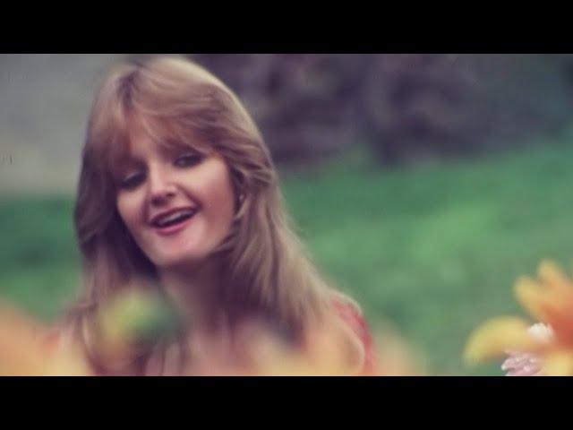 Bonnie Tyler - Lost in Fr