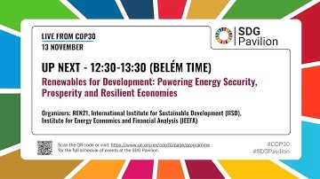 Nov 13 - Renewables for Development: Powering Energy Security, Prosperity and Resilient Economies