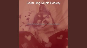 Scintillating Backdrops for Puppies