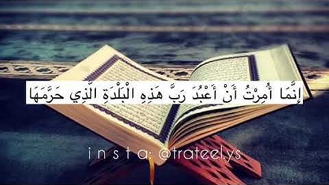 سورةُ النمل - (وَأُمِرْتُ أنْ أَكُونَ مِنَ الْمُسْلمِينَ • وَأَنْ أَتْلُوَ الْقُرْآنَ ۖ ) #يمان_شمسي
