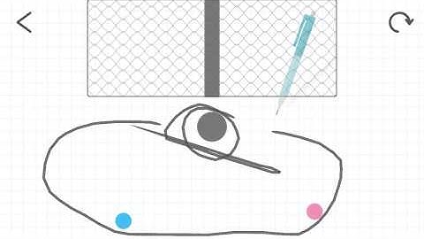 브레인 도트 249 #Braindots