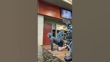 Cat & Camel [Form Demo]