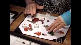 Cutting Garnet With Meg Berry by GIA
