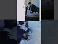 chapter99#shortsvideo #shortvideo #shorts #short #fyp #serena #webtoon #manga #manhwa #youtubeshorts