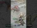 How to Finish Revenant’s Storyline in Elden Ring Nightreign #eldenringnightreign