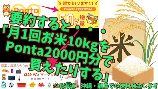 【Ponta】要約すると「月1回お米10kgをPonta2000円分で買えたりする」手順のゆっくり解説　【aupay】【ポン活】【ゆっくり解説】【ポイ活】【aupayマーケット】