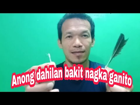 Video: Paano Iguhit Ang Balahibo