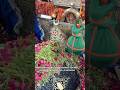 Mira Datar Dargha🥰 New Status Qawwali🥰 All Problem Solution | Dargha Sharif Mo. + 91 9601316184🥰