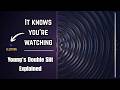 The Experiment That Broke Physics | Young's Double Slit Explained