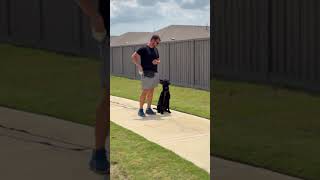 Download Lagu Vader: From Pulling to Perfect Heel 🐾✨ #doglovers #dogshorts #dogs #puppies #trending #fyp #shorts MP3 Download Lagu Vader: From Pulling to Perfect Heel 🐾✨ #doglovers #dogshorts #dogs #puppies #trending #fyp #shorts MP3