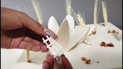 Los Manantiales. Felix Candela