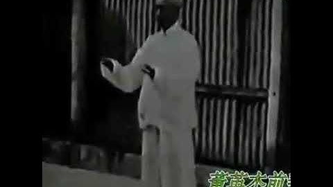 dong yingjie tai chi