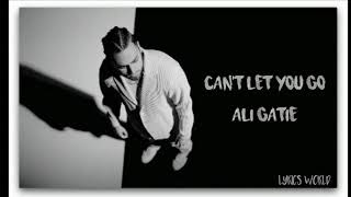 Ali Gatie - Can't let you go ( Lyrics )