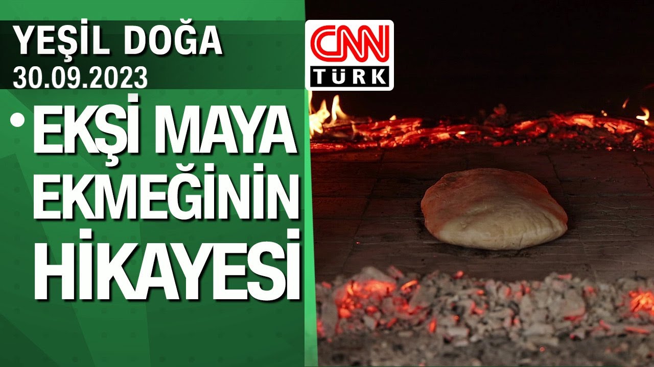 Ekşi maya ekmeğinin hikayesi (Manisa Mahmutlar Köyü) - Yeşil Doğa 30.09.2023 Cumartesi