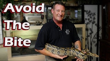 STOP Letting Fear Hold You Back from Handling Snakes