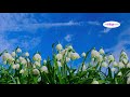 Welcome to Spring (audiobook)