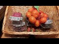 Fruits and Vegetables | Groceries