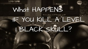 Rucoy Online: What Happens if u kill a lvl 1 Black Skull?