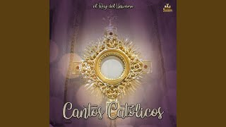 Video voorbeeld van "Cantos catolicos - Tu Reinaras"