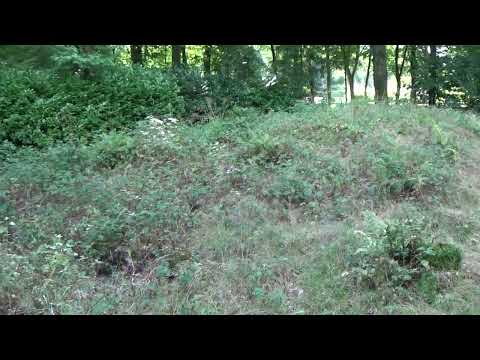 Grafheuvel G76 - Epe