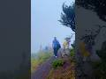 Chikmagalur Bike Trip 2025 | Mullayanagiri Peak, Z Point & Best Places to Visit Near Bangalore ✨ ⛰️