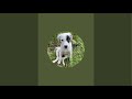 ❤️🐾 Pronti per una nuova avventura!!!