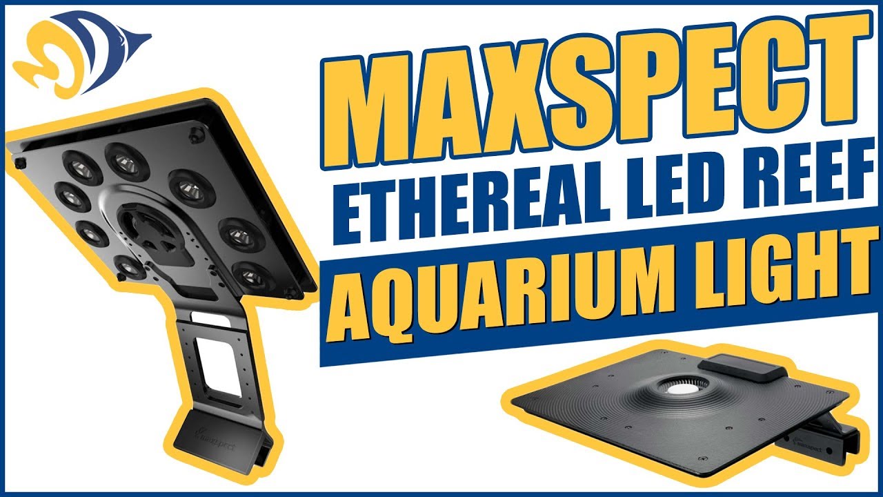 Hands-On with the Maxspect Ethereal LED Reef Aquarium Light