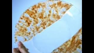 Sunlight Hobi Masak 30s 2008