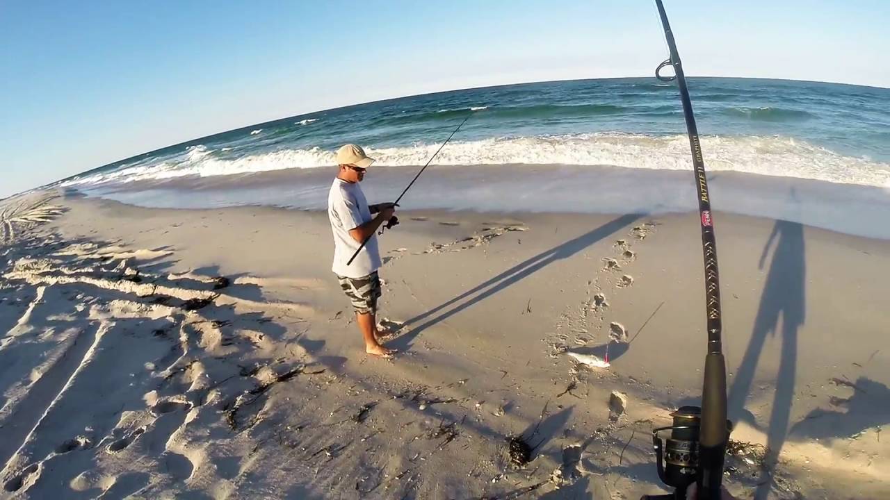 Catching Tail Blues On Island Beach State Park You Catching Tail Blues On Island Beach State Park