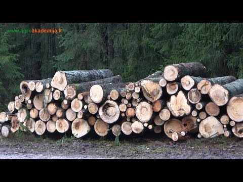 Video: Kaip teisingai apskaičiuoti medienos kubatūrą?