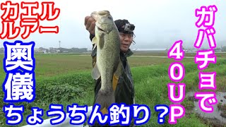 バス釣り　フロッグはこう使え！奥儀ちょうちん釣り！！