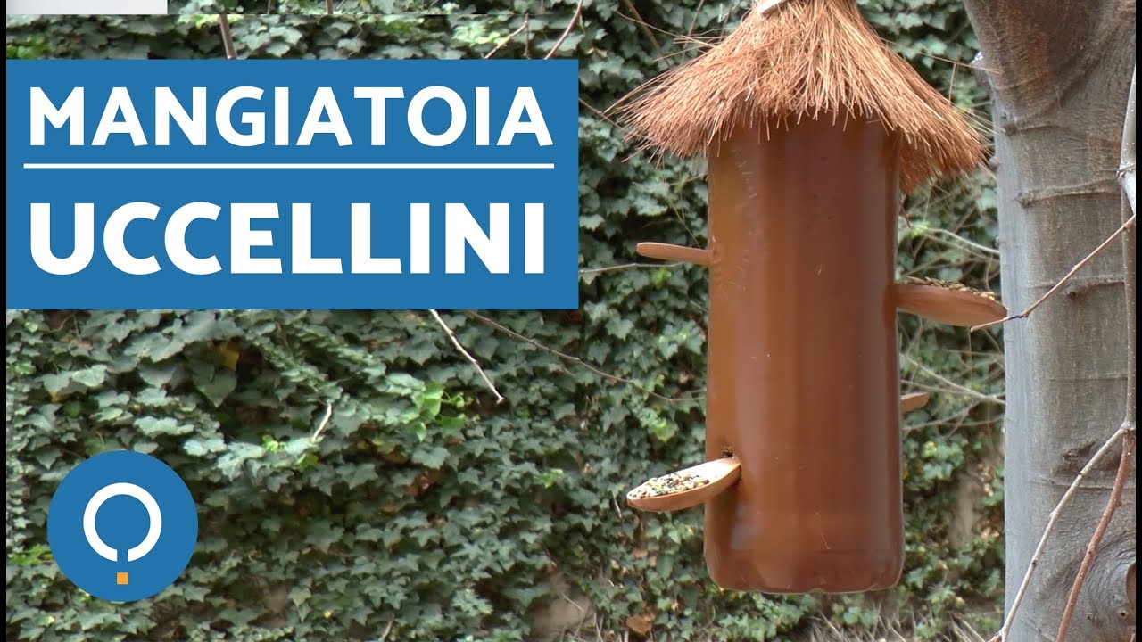 Mangiatoia Per Uccellini Con Bottiglia Di Plastica Fai Da Te