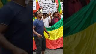 Ethiopian rally Washington DC