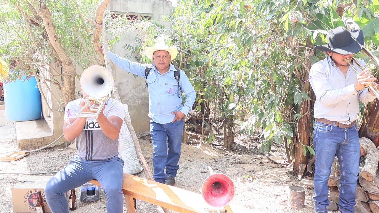BANDA Z DE ZOTICO GALINDO EN LLANO PANTANOSO