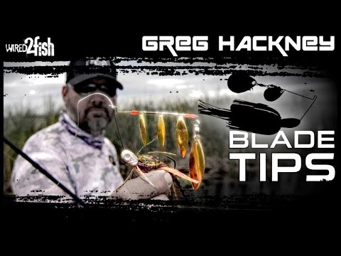 Video: Greg hackney è tornato al basso?