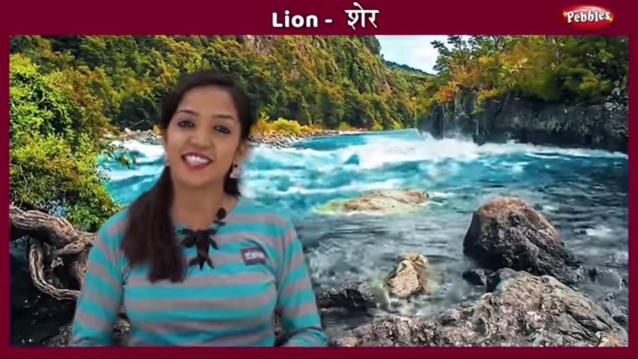 Wild Animal Facts in Hindi | Learn Wild Animals Kids | Animals Essay in