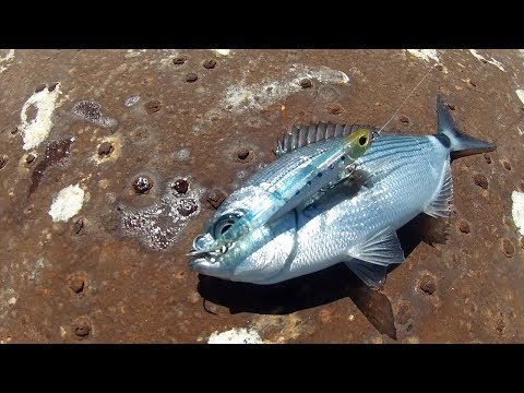 Leurre De Pêche En Mer Duo Bay Ruf Manic Fish 99 Pencil - Naufrage CEA0619