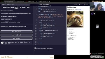 Creando un campo de texto en HTML - freeCodeCamp en Español