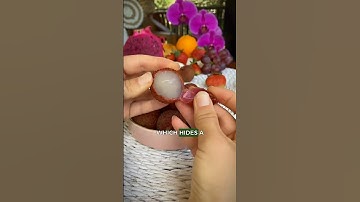 Difference Between Longan & Lychee 😍