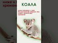 необычные звуки животных о которых мало кто знает