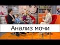 Анализ мочи и инфекции мочевыводящих путей - Школа доктора Комаровского