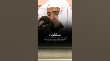 تأمل: آيات مخيفة، وتلاوة مبكية: { أيحسب الإنسان أن يترك سدى} القارئ عبد البديع غيلان