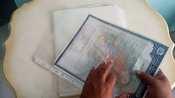 How I Use Bazic Sheet Protectors To Protect My Certificates