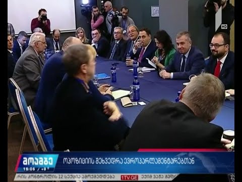 ოპოზიციის შეხვედრა ევროპარლამენტარებთან