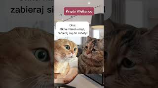 Krypto Wielkanoc, Okna Umyte?